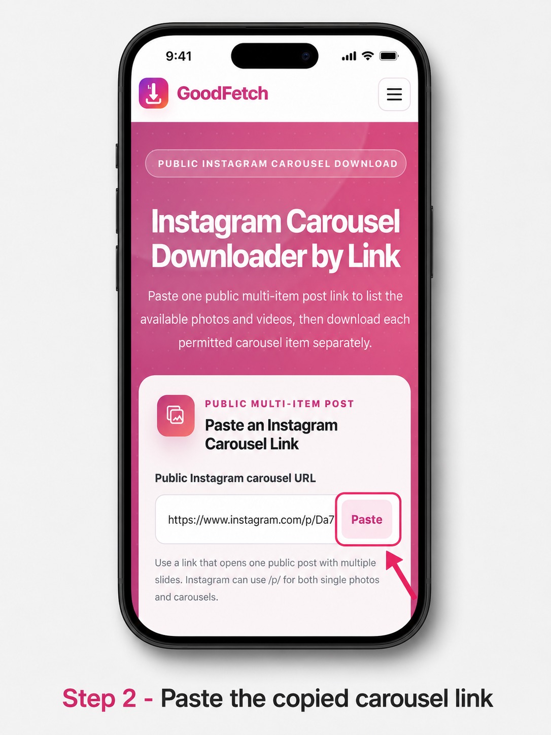 GoodFetch Instagram Carousel Downloader with a public multi-item post link ready for analysis